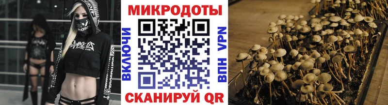 Псилоцибиновые грибы Psilocybine cubensis  Ливны 